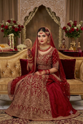 Premium Ruby Bridal Necklace Set with Earrings, Tikka & Passa